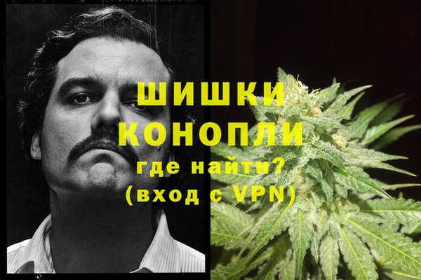 дурь Алексеевка