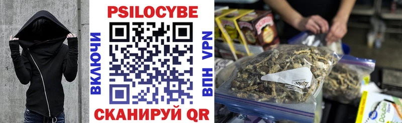 Псилоцибиновые грибы MAGIC MUSHROOMS  кракен сайт  Беломорск  продажа наркотиков 