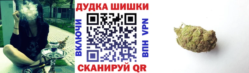 дарнет шоп  Беломорск  Бошки Шишки план 